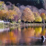 Autumn by the Barrow