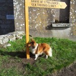 New Signs St Mullins Graveyard